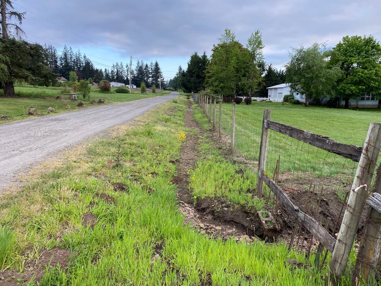 Rural gravel driveway lined with wooden fence and green pasture, surrounded by evergreen trees and farm buildings
