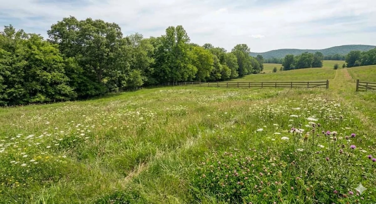 Rolling pastoral meadow with wildflowers and green grass, bordered by trees and distant hills under cloudy sky