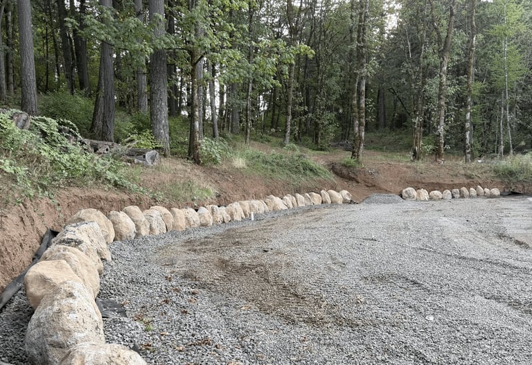 Gravel pathway lined with large boulders winding through a dense forest of tall trees